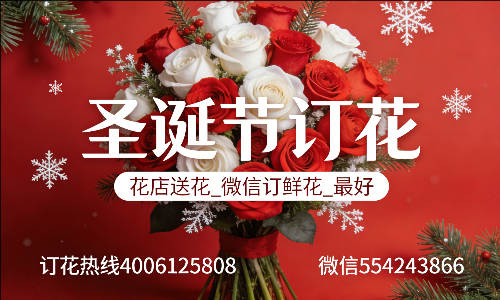 ��ɽǨ���л���