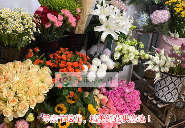 2024迁安市母亲节送花,迁安市精美鲜花供您选!